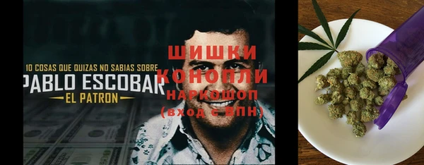 метадон Медвежьегорск