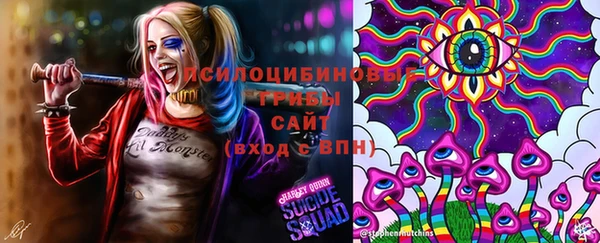 гидропоника Алапаевск