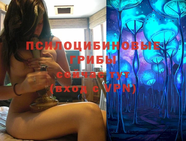 герыч Медногорск
