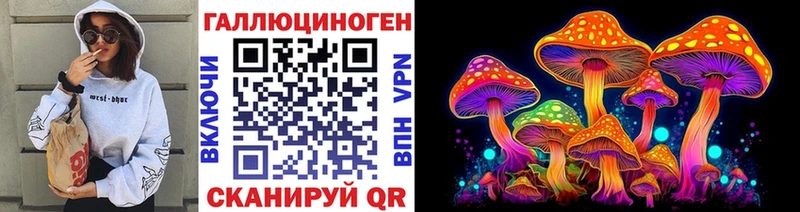 магазин    Алатырь  Псилоцибиновые грибы Psilocybine cubensis 