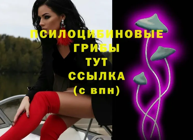 Псилоцибиновые грибы GOLDEN TEACHER  наркошоп  Алатырь 