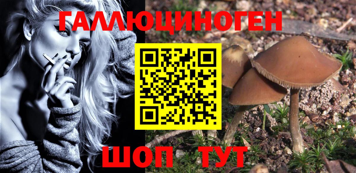 Псилоцибиновые грибы ЛСД  Алатырь 