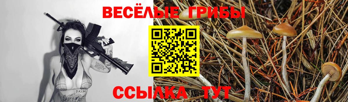 Галлюциногенные грибы ЛСД Алатырь